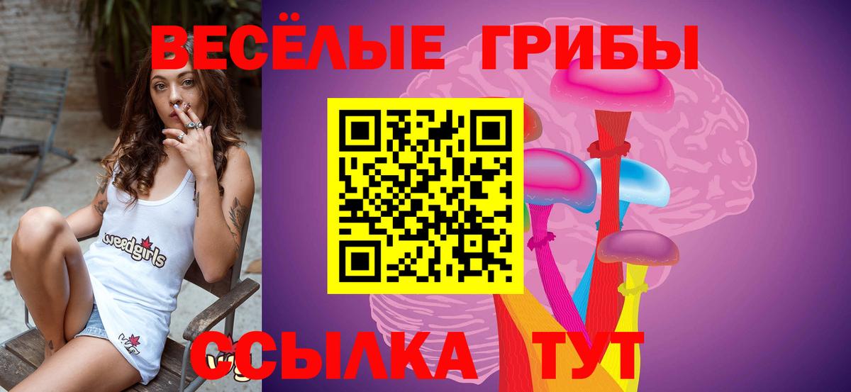 Гудермес  Галлюциногенные грибы прущие грибы  купить наркоту  Вход с VPN 